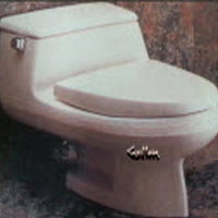 Seat for American Standard Ellisse one-piece - This Old Toilet