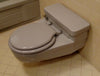 Lid Case 3000 one-piece style, wall-mounted - This Old Toilet