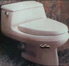 Seat for American Standard Ellisse one-piece - This Old Toilet