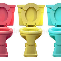 Toilet Color Identification Service with Samples (Non-refundable)